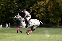 Polo Apremont D6 20-09-11 0422   Photo ACG