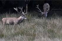 Boutissain D6 20-09-23 1100   Photo ACG