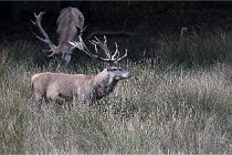 Boutissain D6 20-09-23 1105   Photo ACG