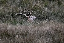 Boutissain D6 20-09-23 1161   Photo ACG