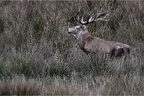 Boutissain D6 20-09-23 1189   Photo ACG