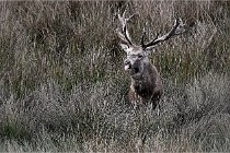 Boutissain D6 20-09-23 1208   Photo ACG