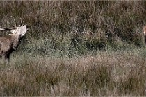 Boutissain D6 20-09-23 1222   Photo ACG