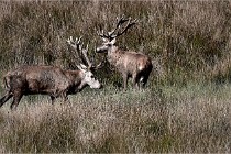 Boutissain D6 20-09-23 1231   Photo ACG