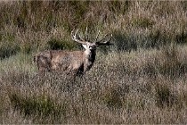 Boutissain D6 20-09-23 1245   Photo ACG