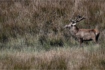 Boutissain D6 20-09-23 1258   Photo ACG