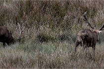 Boutissain D6 20-09-23 1272   Photo ACG