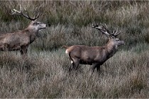 Boutissain D6 20-09-23 1280   Photo ACG