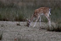 Boutissain D6 20-09-23 1307   Photo ACG