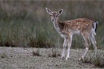 Boutissain D6 20-09-23 1310   Photo ACG