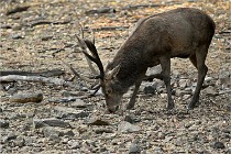 Boutissain D6 20-09-24 1342   Photo ACG