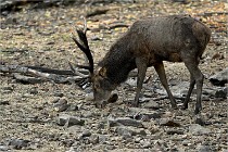 Boutissain D6 20-09-24 1355   Photo ACG