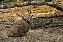 Boutissain D6 20-09-24 1369   Photo ACG