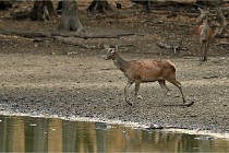 Boutissain D6 20-09-24 1390   Photo ACG