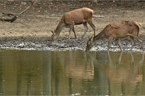 Boutissain D6 20-09-24 1395   Photo ACG