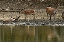 Boutissain D6 20-09-24 1402   Photo ACG