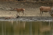 Boutissain D6 20-09-24 1405   Photo ACG