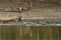 Boutissain D6 20-09-24 1413   Photo ACG