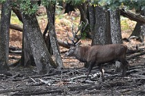 Boutissain D6 20-09-24 1420   Photo ACG