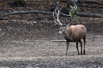 Boutissain D6 20-09-24 1427   Photo ACG