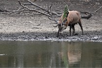 Boutissain D6 20-09-24 1431   Photo ACG