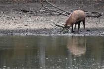 Boutissain D6 20-09-24 1435   Photo ACG