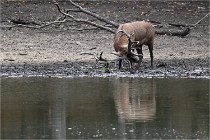 Boutissain D6 20-09-24 1436   Photo ACG