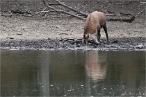 Boutissain D6 20-09-24 1438   Photo ACG