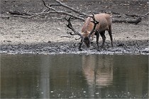 Boutissain D6 20-09-24 1439   Photo ACG