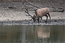 Boutissain D6 20-09-24 1441   Photo ACG