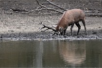 Boutissain D6 20-09-24 1443   Photo ACG