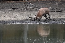 Boutissain D6 20-09-24 1444   Photo ACG