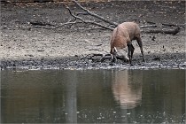 Boutissain D6 20-09-24 1445   Photo ACG