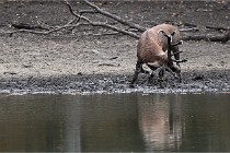 Boutissain D6 20-09-24 1446   Photo ACG