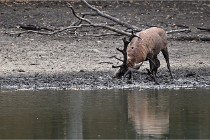 Boutissain D6 20-09-24 1451   Photo ACG