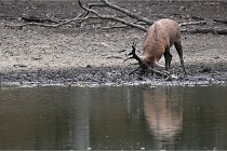 Boutissain D6 20-09-24 1452   Photo ACG