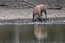 Boutissain D6 20-09-24 1453   Photo ACG