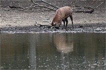 Boutissain D6 20-09-24 1455   Photo ACG