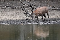 Boutissain D6 20-09-24 1456   Photo ACG