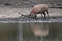 Boutissain D6 20-09-24 1459   Photo ACG