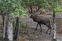 Boutissain D6 20-09-24 1470   Photo ACG