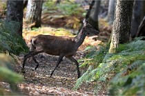 Boutissain D6 20-09-24 1472   Photo ACG