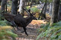 Boutissain D6 20-09-24 1479   Photo ACG