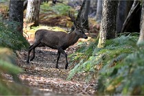 Boutissain D6 20-09-24 1497   Photo ACG