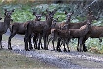 Boutissain D6 20-09-24 1499   Photo ACG