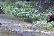 Boutissain D6 20-09-24 1510   Photo ACG