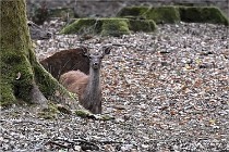 Boutissain D6 20-09-24 1521   Photo ACG