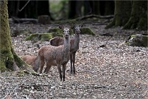 Boutissain D6 20-09-24 1524   Photo ACG