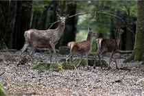 Boutissain D6 20-09-24 1556   Photo ACG