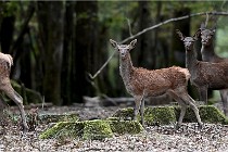 Boutissain D6 20-09-24 1565   Photo ACG